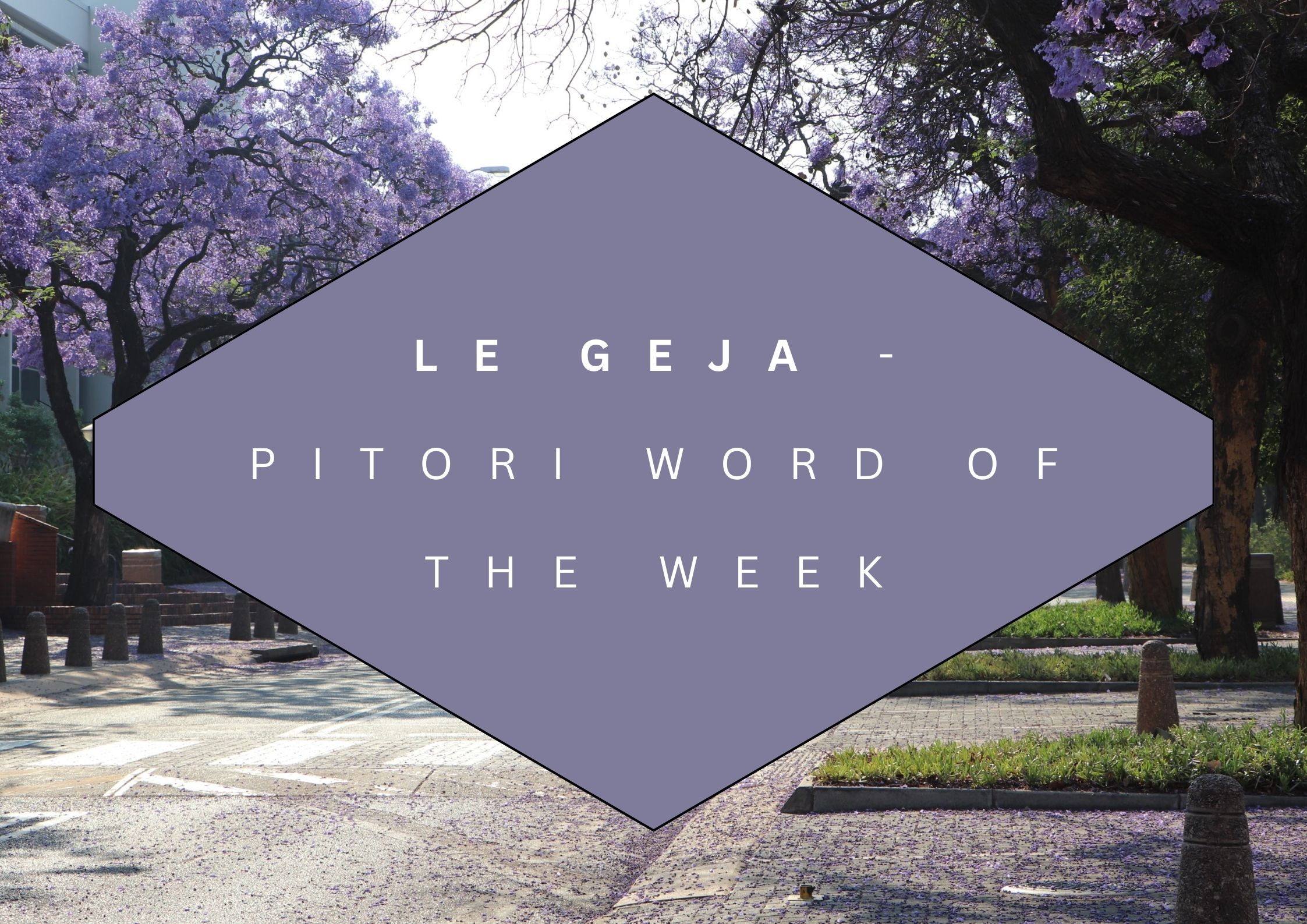 Pitori Word of the Week - Le Geja