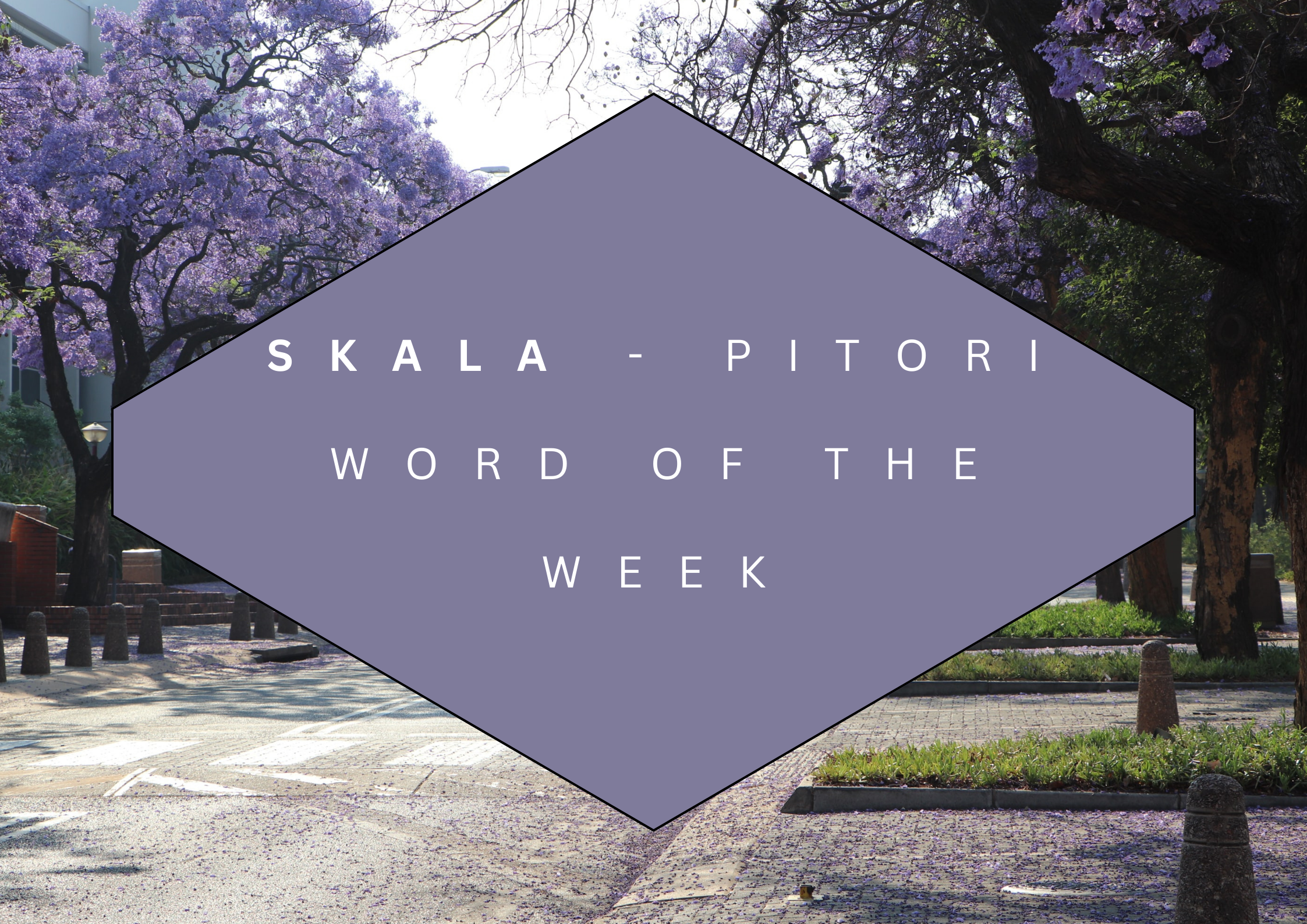 Skala - Pitori Word of the Week