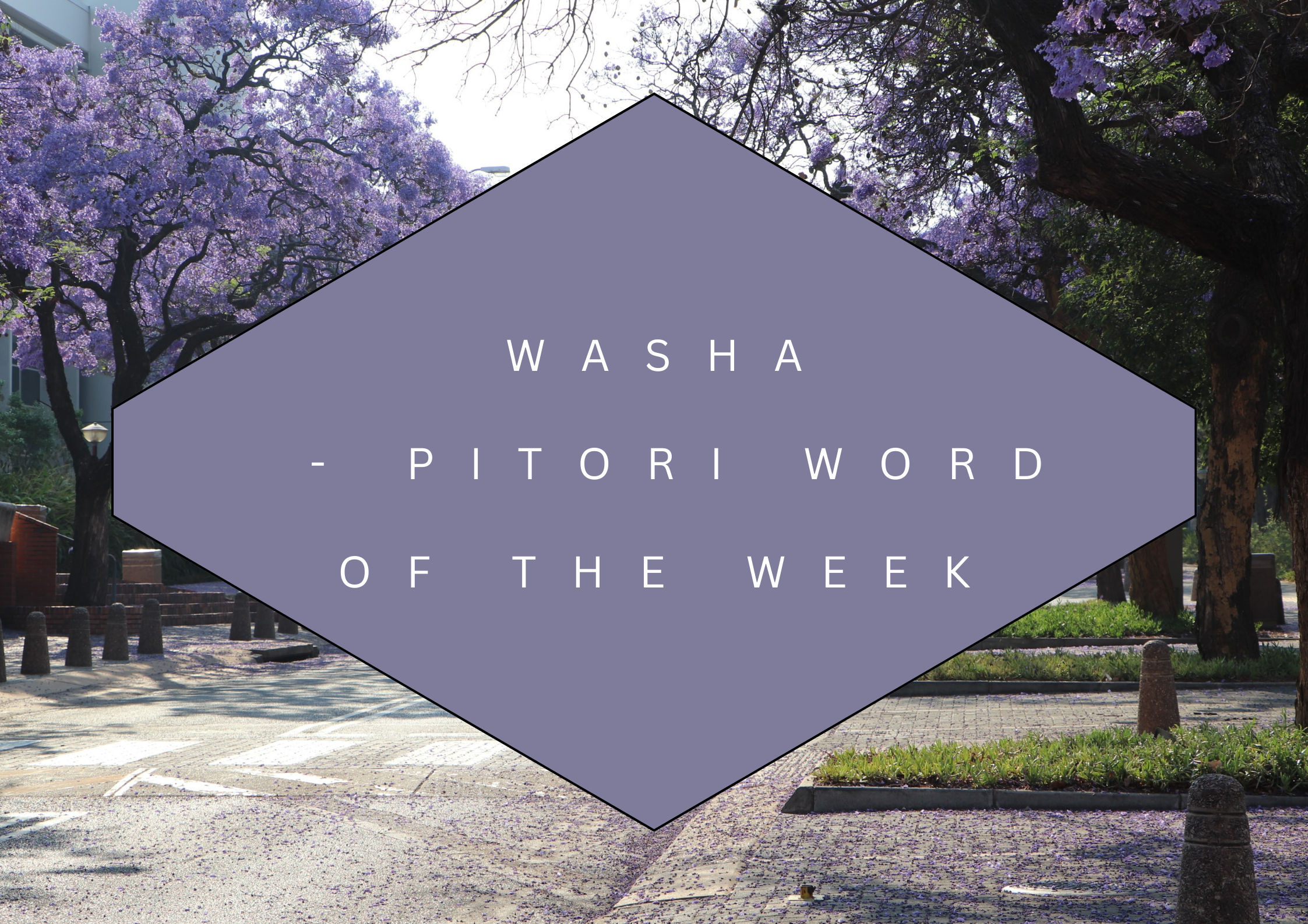 Washa - Pitori Word of the Week